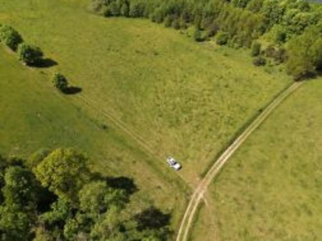 Bezpośrednio, Elganowo, 1000 m² Działka