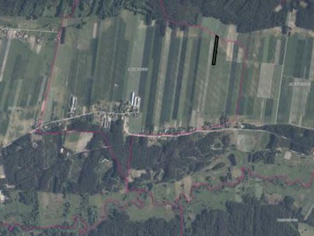 Bezpośrednio, Eliaszówka, 5800 m² Działka