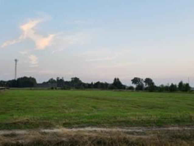 Bezpośrednio, Żeliszew Duży, 3400 m² Działka
