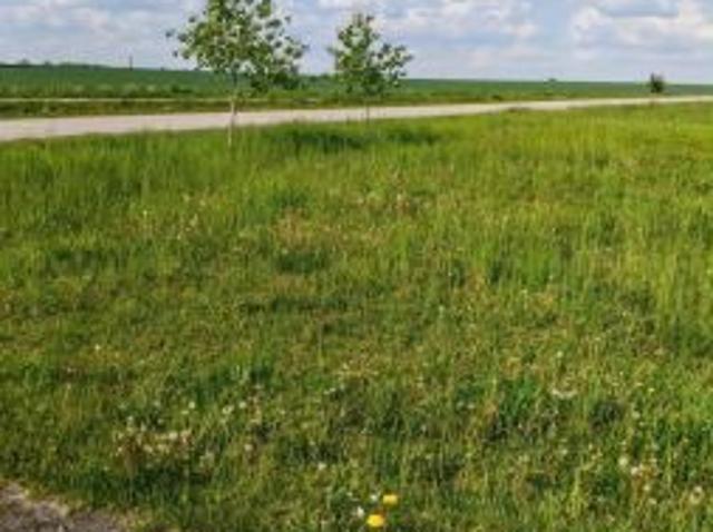Bezpośrednio, Folwarki Małe, 810 m² Działka