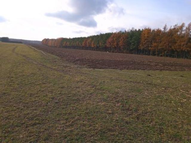 Bezpośrednio, Folwarki Małe, 3000 m² Działka