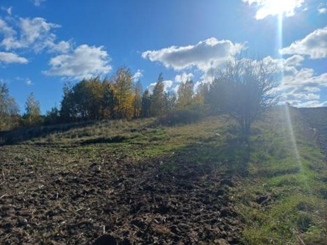 Bezpośrednio, Filipy, 5000 m² Działka