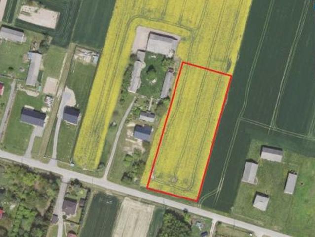 Bezpośrednio, Franciszków, 4030 m² Działka