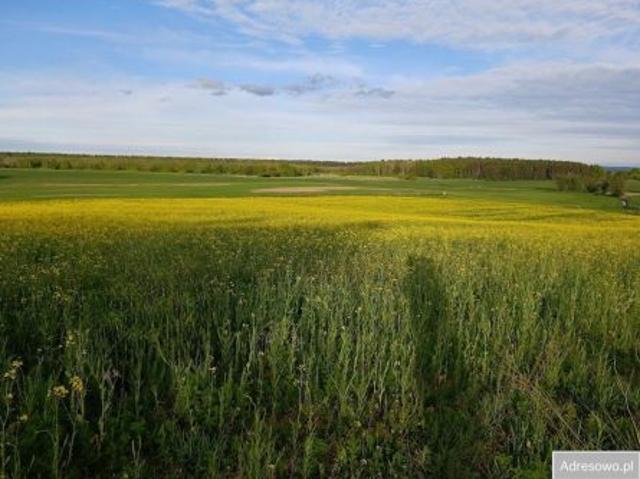 Bezpośrednio, Frednowy, 3752 m² Działka