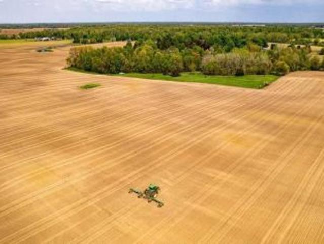 Bezpośrednio, Frednowy, 40000 m² Działka