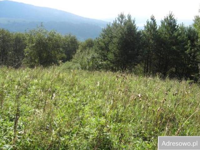 Bezpośrednio, Kąty, 9800 m² Działka