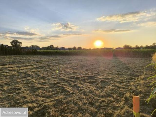 Bezpośrednio, Kędzierzyn Koźle, ul. Kamienna, 1021 m² Działka