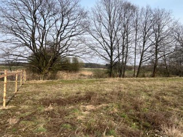 Bezpośrednio, Kędzierzyn Koźle, Kłodnica, ul. Stanisława Ignacego Witkiewicza, 1050 m² Działka