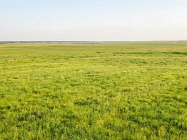 Bezpośrednio, Kąkolewnica, 1404 m² Działka