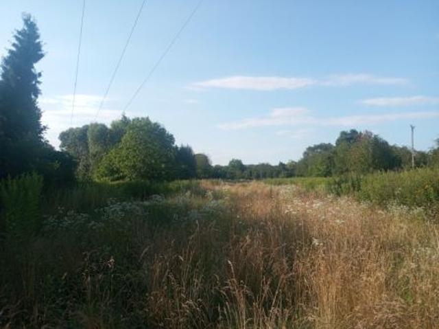 Bezpośrednio, Puławy, Włostowice, ul. Polskiej Organizacji Wojskowej, 1600 m² Działka