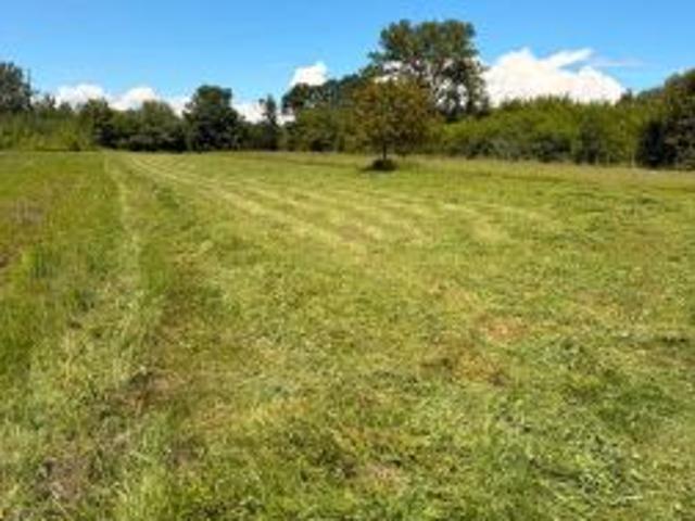 Bezpośrednio, Kępa Bogumiłowicka, 26000 m² Działka