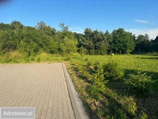 Bezpośrednio, Łęknica, ul. Wybrzeżna, 3000 m² Działka