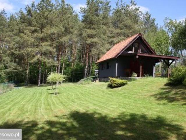 Bezpośrednio, Kotkowo, 60 m² Dom
