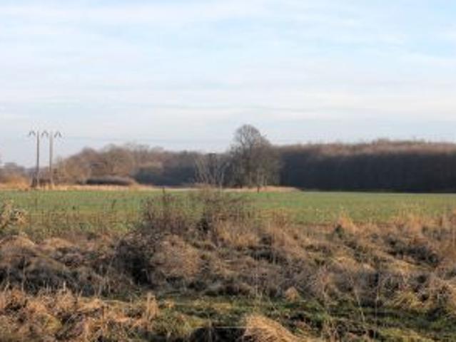 Bezpośrednio, Kotowice, 6700 m² Działka