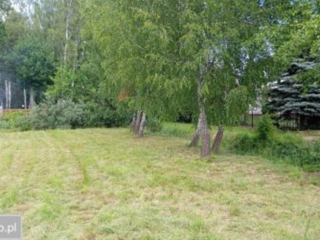 Bezpośrednio, Kotuń, ul. Armii Krajowej, 1045 m² Działka