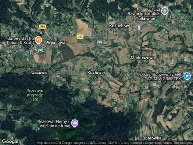 Bezpośrednio, Kozłówek, 5606 m² Działka