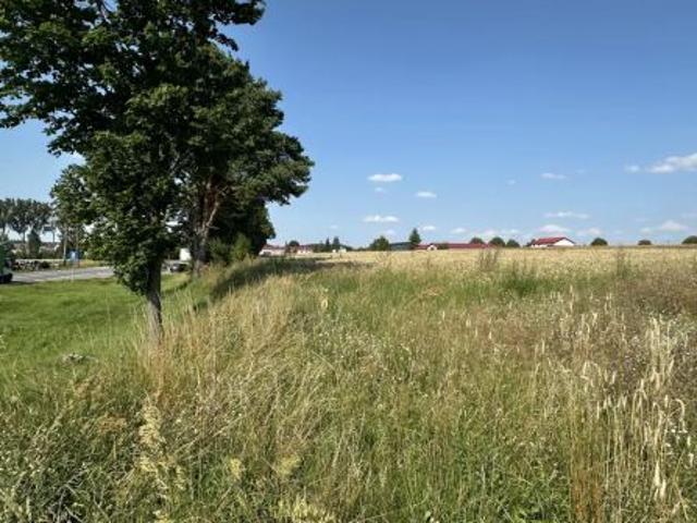 Bezpośrednio, Kozłowo, 10000 m² Działka