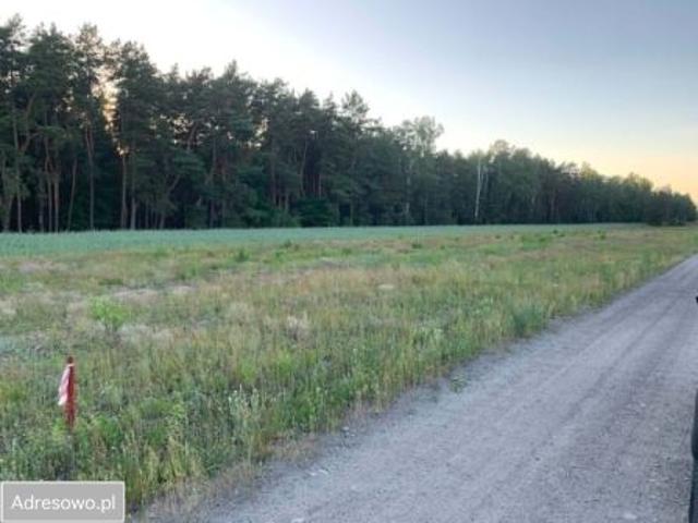 Bezpośrednio, Kozły, ul. Brzezinowa, 1000 m² Działka