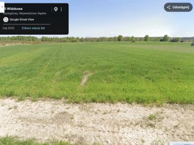 Bezpośrednio, Koziegłowy, ul. Widokowa, 5000 m² Działka