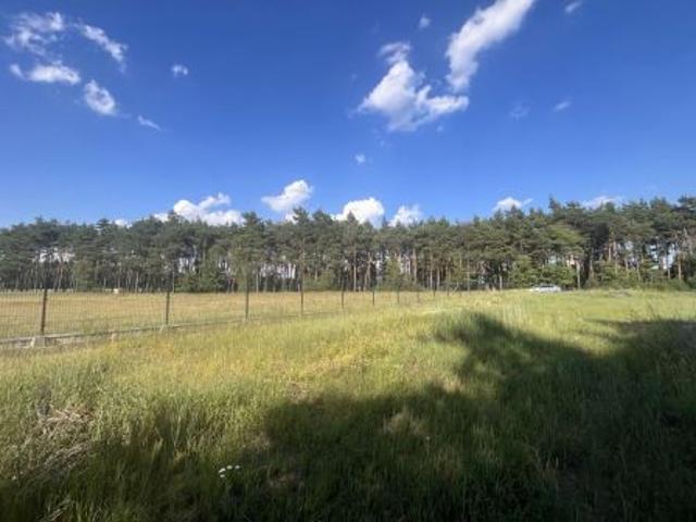 Bezpośrednio, Kościelec, 1557 m² Działka