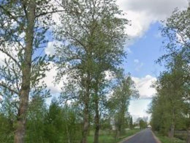 Bezpośrednio, Kościernica, 2000 m² Działka