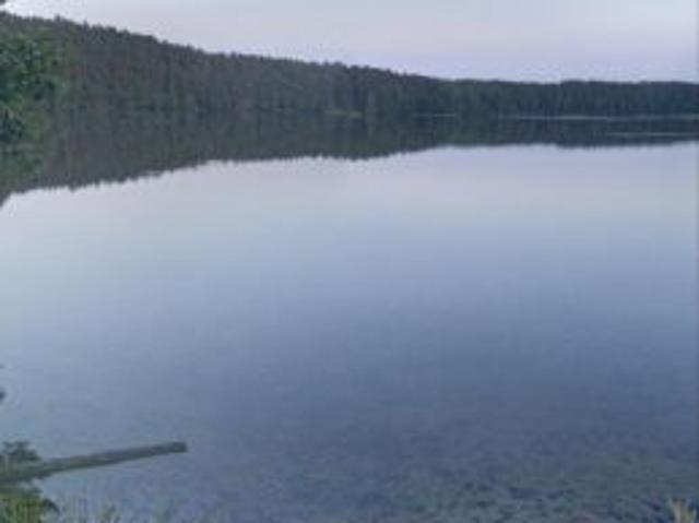 Bezpośrednio, Częstkowo, 2389 m² Działka