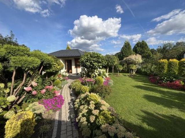 Bezpośrednio, Koło, 320 m² Działka