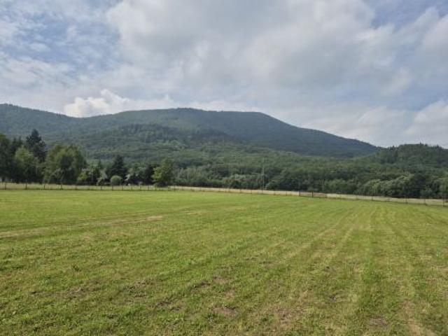 Bezpośrednio, Kobiernice, ul. Gajowa, 1000 m² Działka