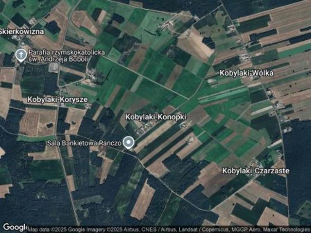 Bezpośrednio, Kobylaki Konopki, 70000 m² Działka