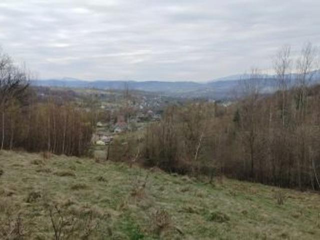 Bezpośrednio, Kocierz Moszczanicki, ul. Gronikowa, 9000 m² Działka