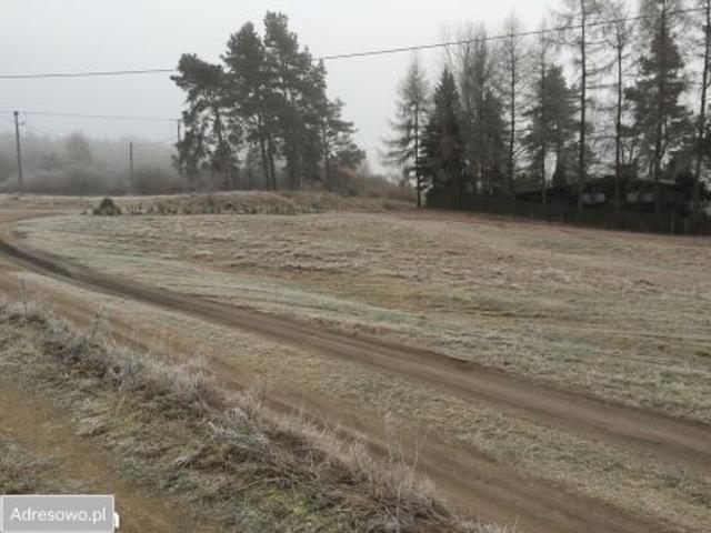 Bezpośrednio, Koczek, 970 m² Działka