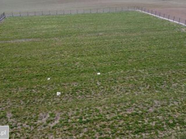 Bezpośrednio, Kokoszkowy, 1000 m² Działka