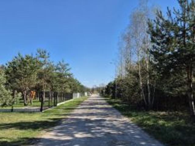 Bezpośrednio, Kolonia Brzeźce, ul. Gajowa, 1460 m² Działka