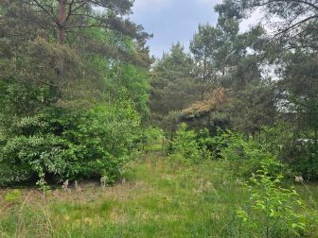Bezpośrednio, Kolonia Głowa, 2044 m² Działka