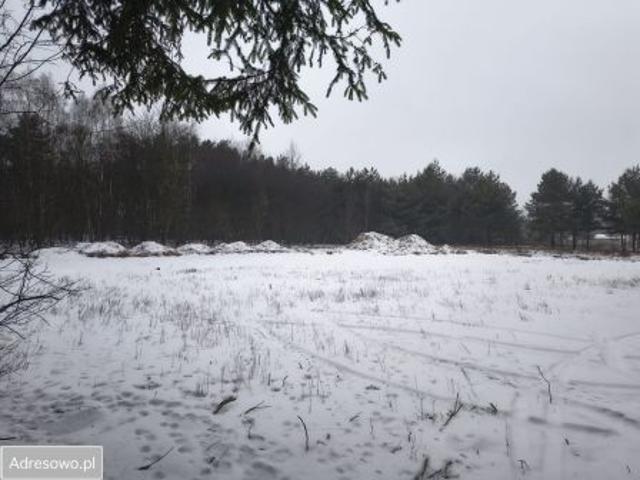 Bezpośrednio, Kolonia Głowa, ul. Główna, 2001 m² Działka