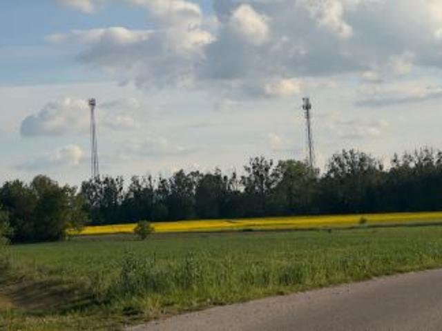 Bezpośrednio, Gałków Duży, 8000 m² Działka