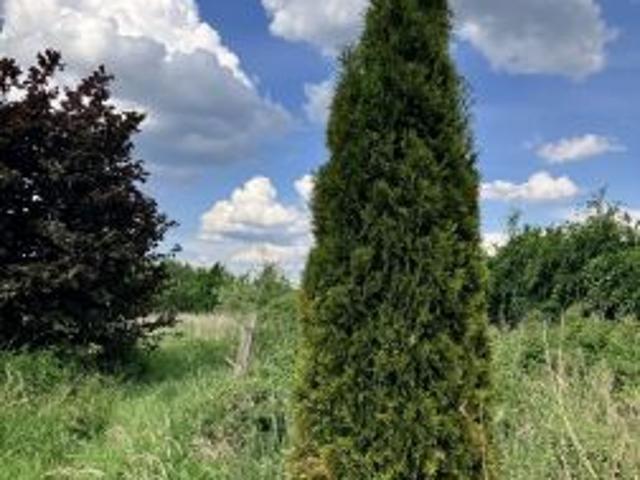 Bezpośrednio, Komarowo, 2000 m² Działka