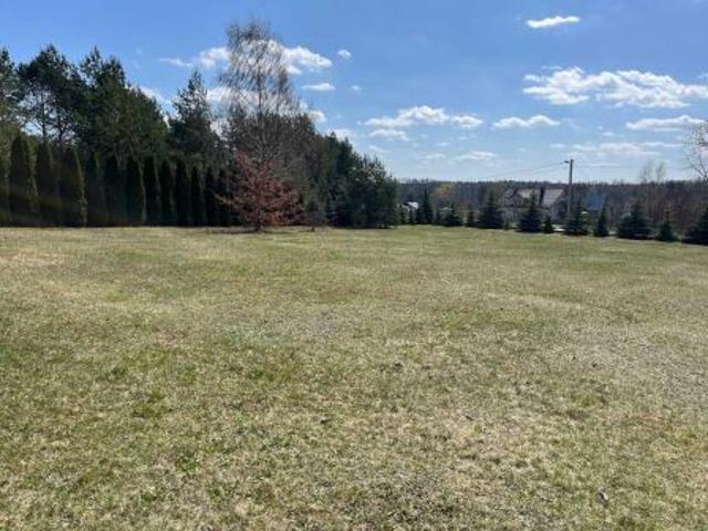 Bezpośrednio, Komórki, 1990 m² Działka