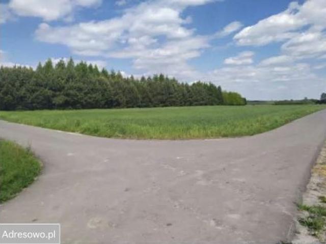 Bezpośrednio, Konary, 9100 m² Działka