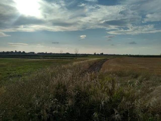 Bezpośrednio, Konarzewo, ul. Diamentowa, 1600 m² Działka