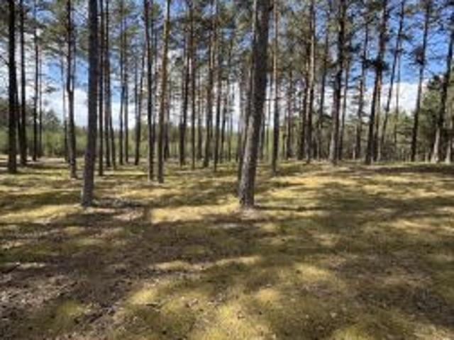 Bezpośrednio, Konarzyny, 1500 m² Działka
