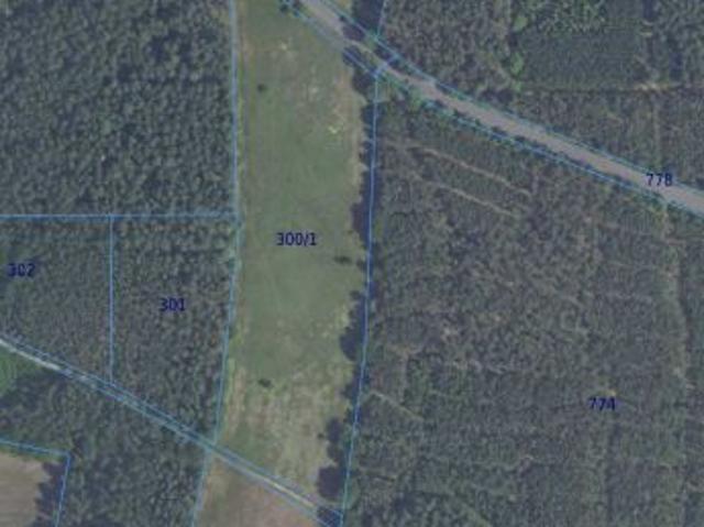 Bezpośrednio, Konin Żagański, 27049 m² Działka