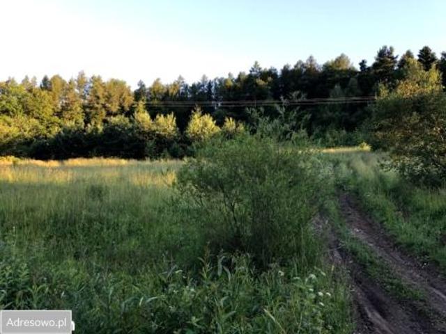 Bezpośrednio, Koniusza, 13200 m² Działka