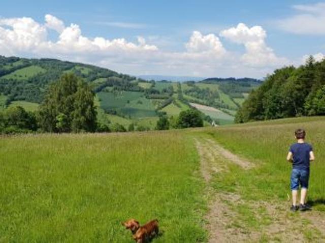 Bezpośrednio, Konradów, 734600 m² Działka