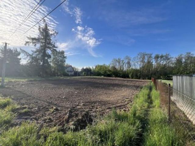 Bezpośrednio, Kopana, ul. Pawłowicka, 1089 m² Działka