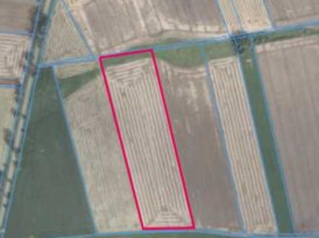 Bezpośrednio, Kopyłów, 20000 m² Działka