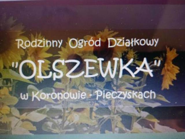 Bezpośrednio, Koronowo, Pieczyska, 360 m² Działka