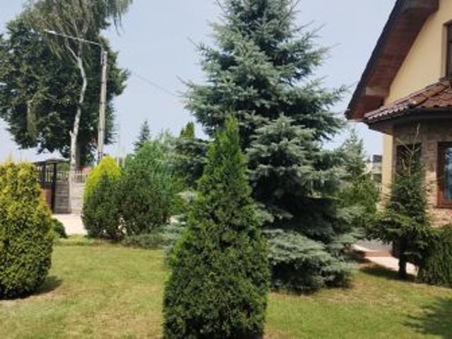 Bezpośrednio, Korzeniew, Korzeniew, 170 m² Dom