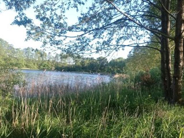 Bezpośrednio, Kosewo, ul. Lipnicka, 64000 m² Działka