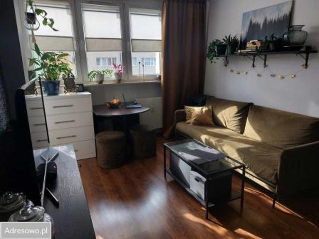 Bezpośrednio, Katowice, ul. Pawła Edmunda Strzeleckiego, 37 m² Mieszkanie